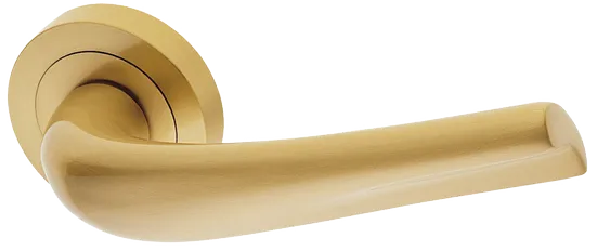 RAFT R2 OSA, ручка дверная, цвет - матовое золото фото купить Пермь