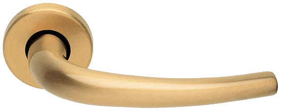 LILLA R3-E OSA, ручка дверная, цвет - матовое золото фото купить Пермь