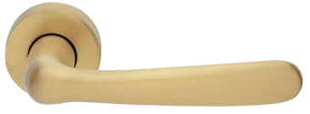 LINDA R3-E OSA, ручка дверная, цвет - матовое золото
