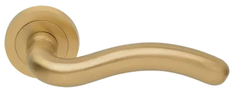 SNAKE R2 OSA, ручка дверная, цвет - матовое золото