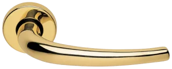LILLA R3-E OTL, ручка дверная, цвет - золото