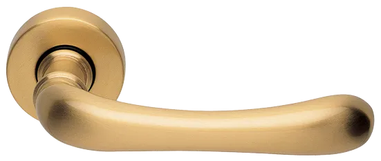 RING R3-E OSA, ручка дверная, цвет - матовое золото фото купить Пермь