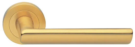 STELLA R2 OSA, ручка дверная, цвет - матовое золото фото купить Пермь