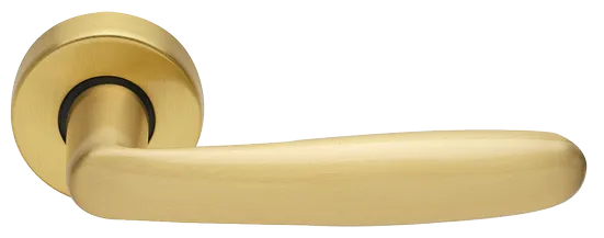IMOLA R3-E OSA, ручка дверная, цвет - матовое золото фото купить Пермь