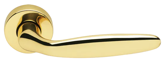 DERBY R3-E OTL, ручка дверная, цвет - золото фото купить Пермь