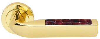 MATRIX-2 R2 OTL/CROCODILE, ручка дверная, цвет -  золото/принт крокодила