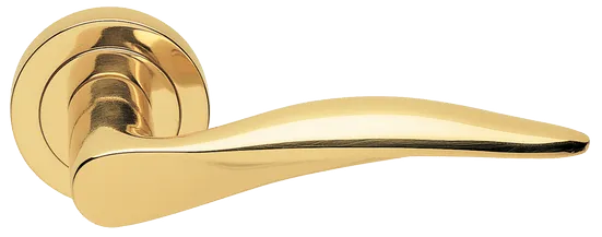 DALI R2 OTL, ручка дверная, цвет -  золото фото купить Пермь