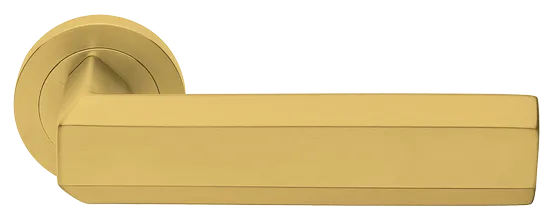 HARMONY R2 OSA, ручка дверная, цвет -  матовое золото фото купить Пермь